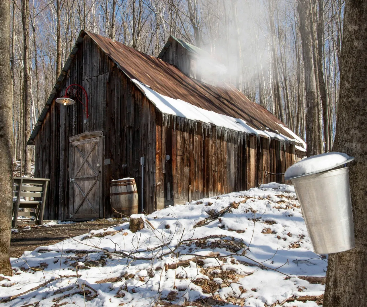 Maple Terroir production plant in Eastern Canada