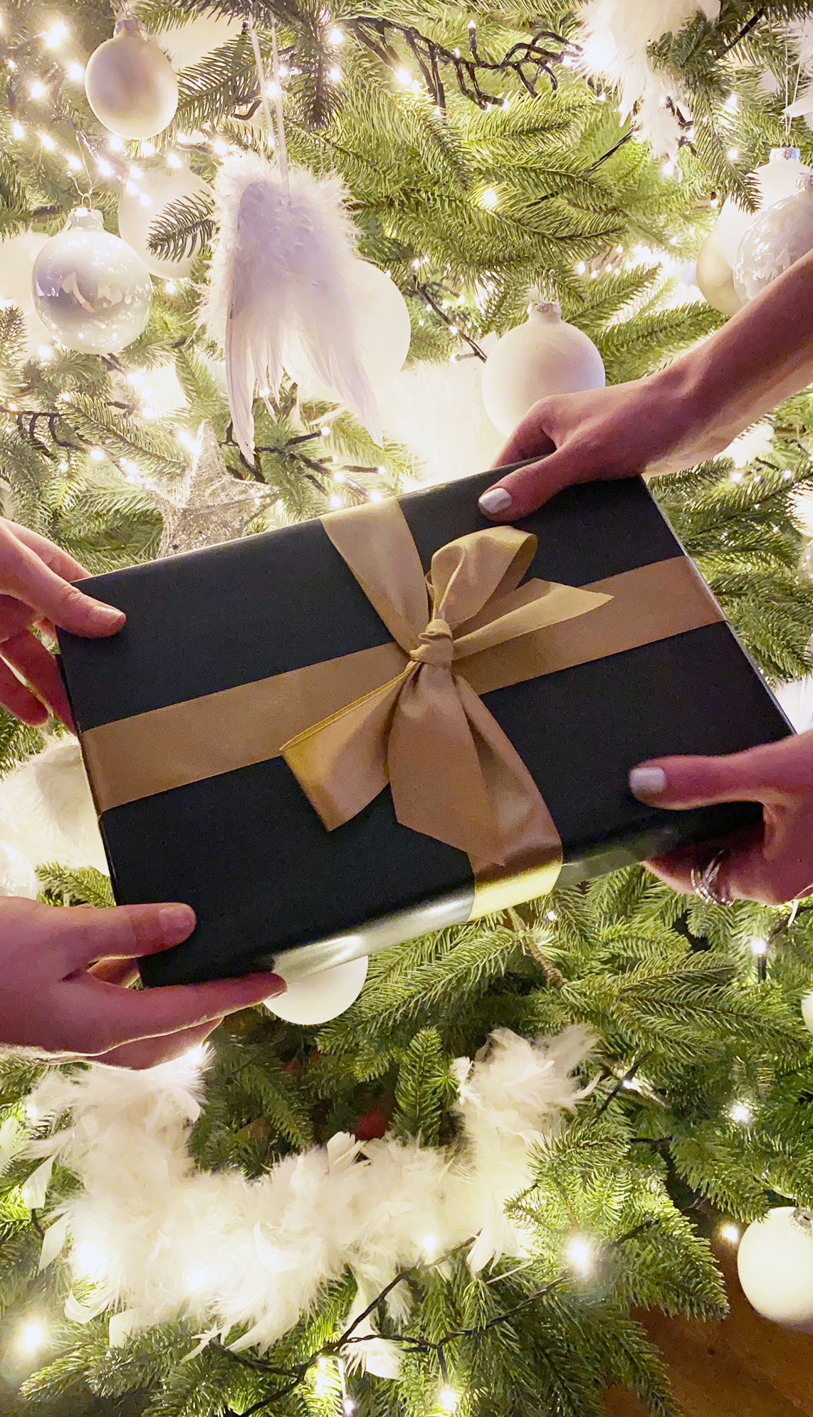 natüür Cream forte mit NEEMAVERA® zwischen frischen Neemblättern, dazu eine Geschenkbox aus Kraftpapier mit Leinenband und wachsversiegeltem Anhänger im warmen Licht einer Lichterkette