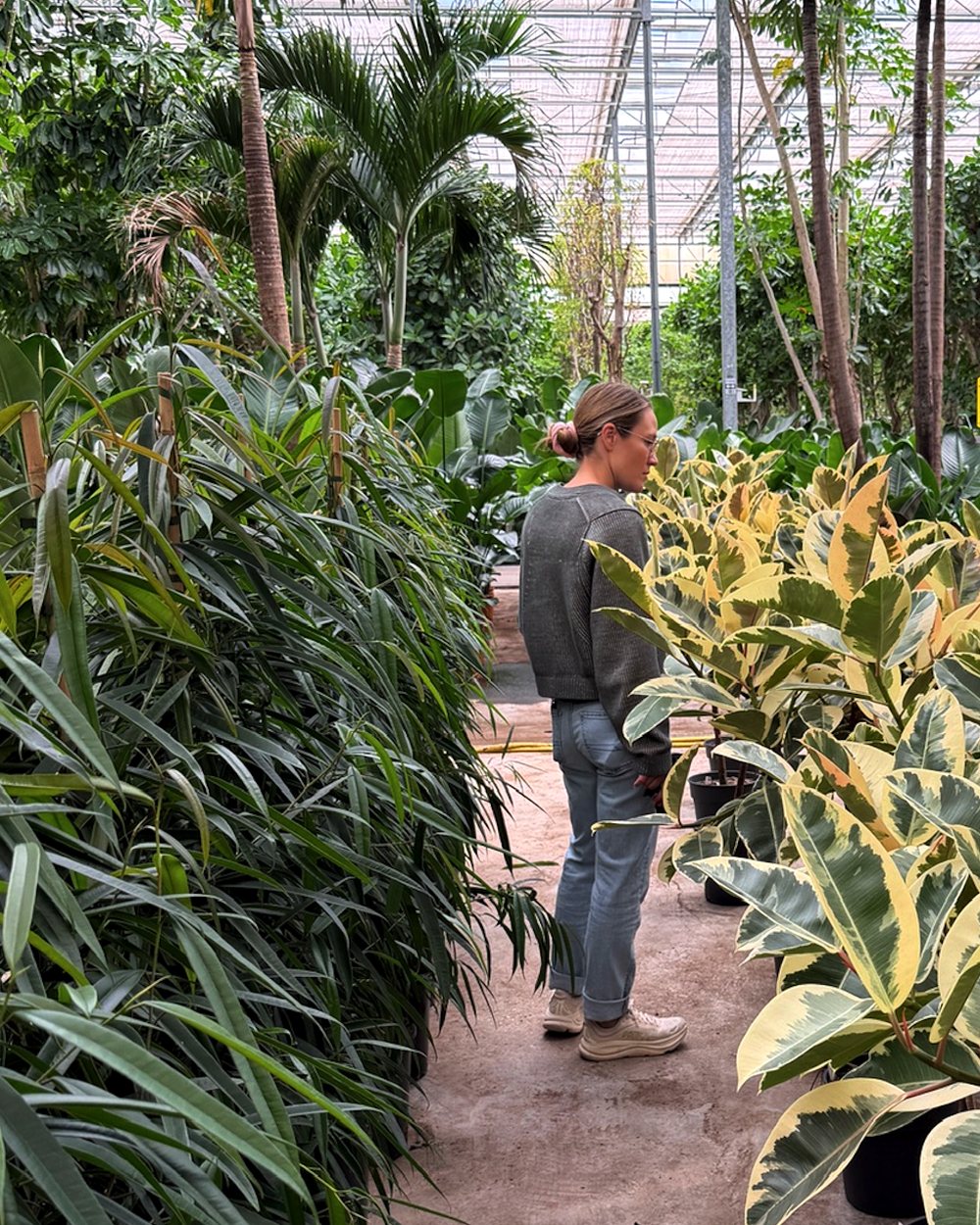 Shelly, founder of The Curious Plant, standing between rows of palms and variegated rubber plants in a greenhouse