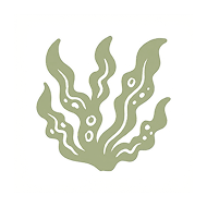 Greenish flame-like wavy shapes with eyes on a black background with yellow border