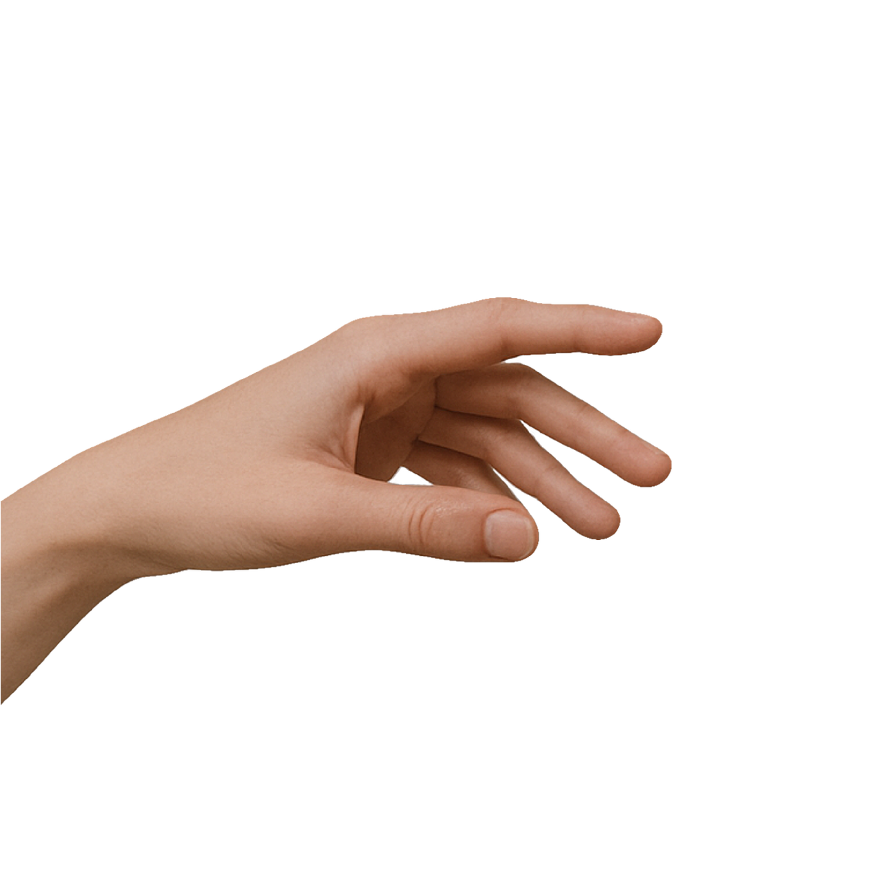 Right human hand with fingers slightly curved.