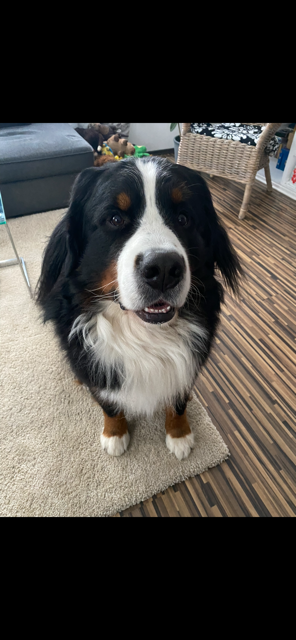 Foto von Ares