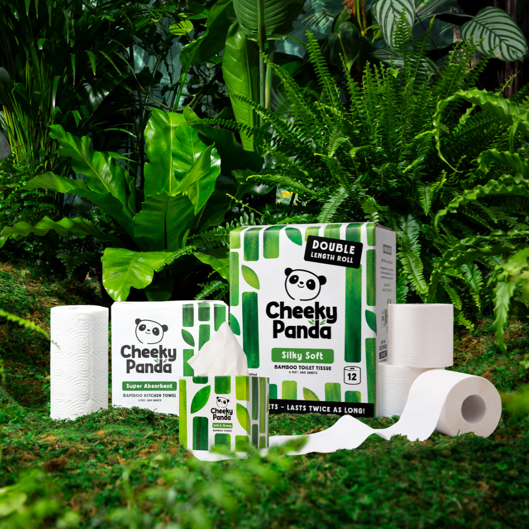 Cheeky Panda Double Roll bamboo toilet tissue packs stacked on moss in a lush bamboo jungle