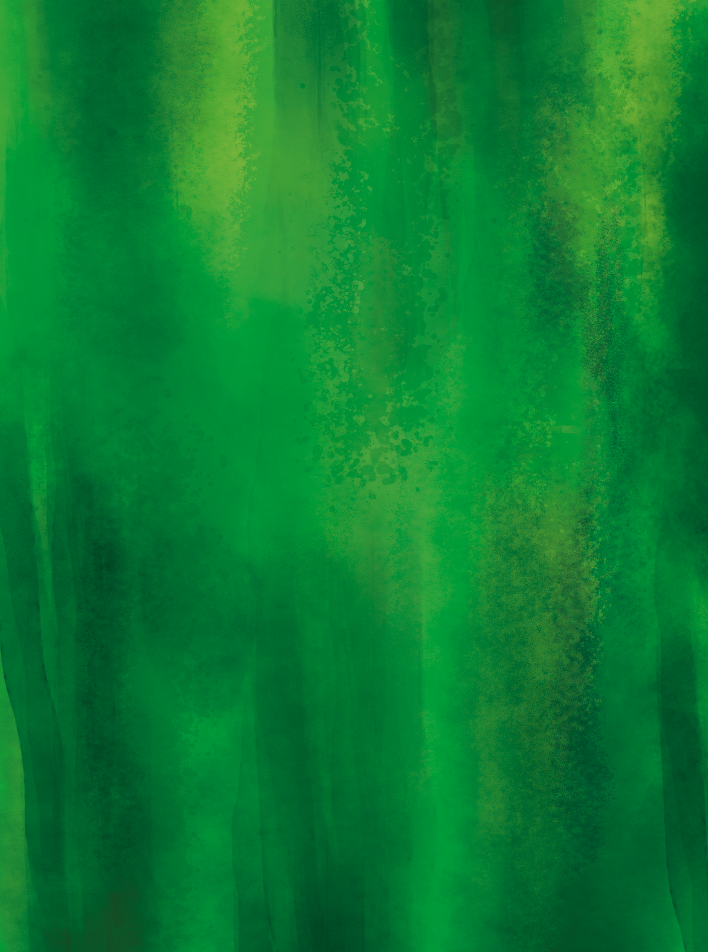 Sunlit bamboo forest with tall green stalks