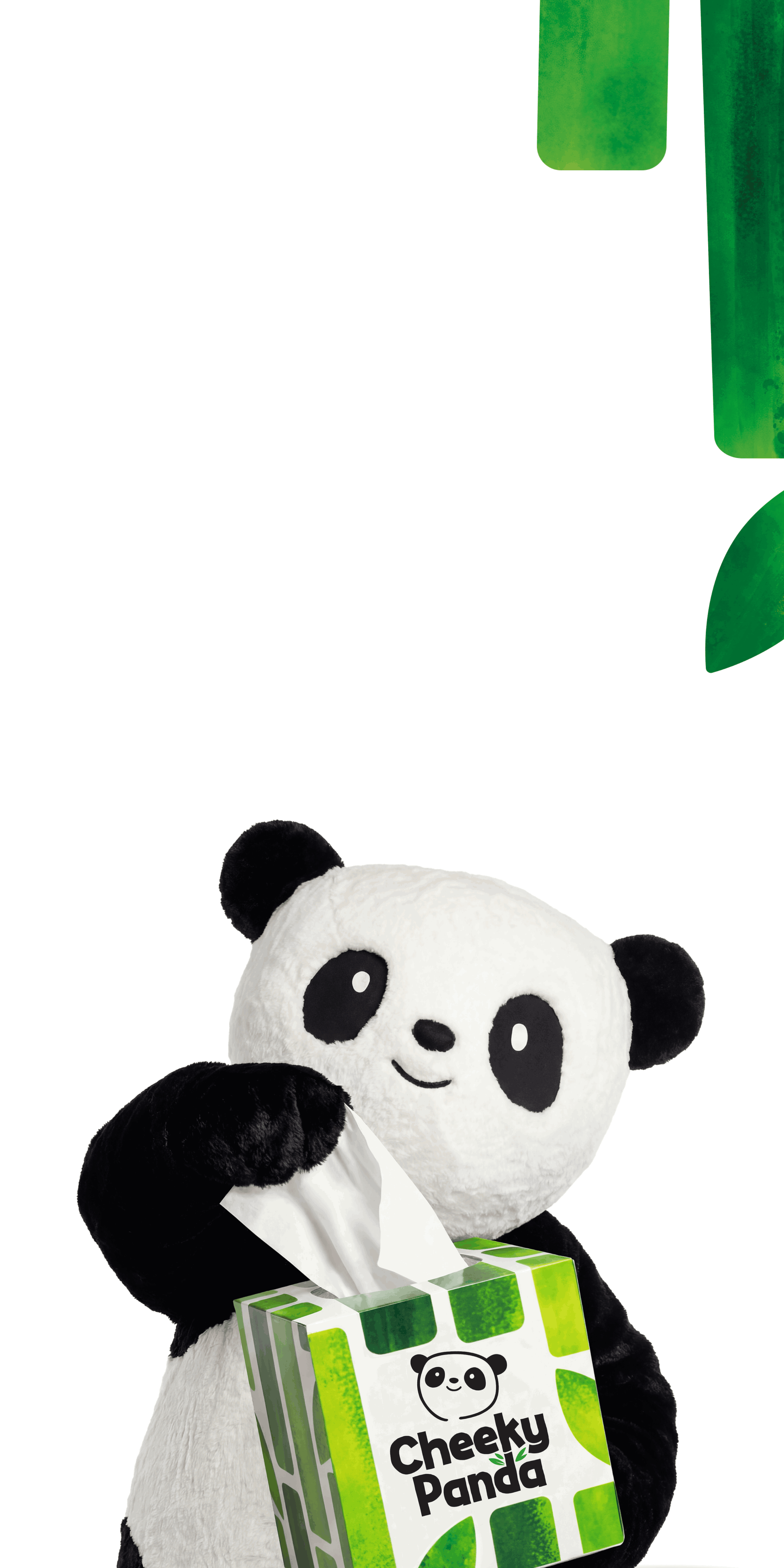 The Cheeky Panda mascot pulling a soft tissue from a green bamboo tissue box