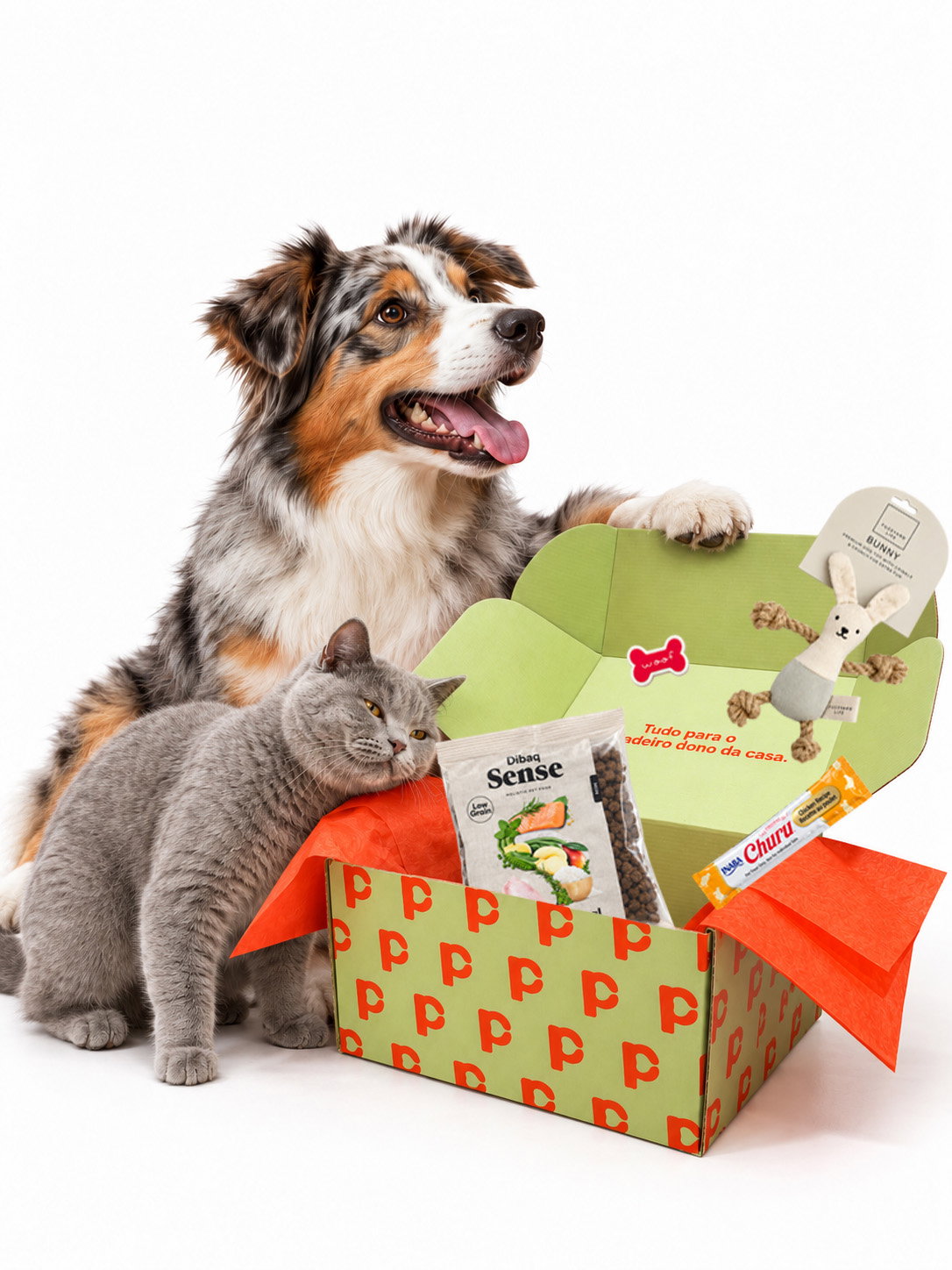 Cão e gato felizes ao lado de uma caixa de oferta com laço laranja