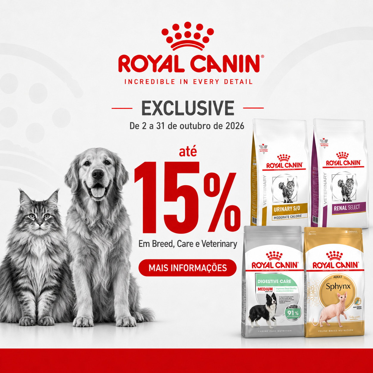 Royal Canin Exclusive outubro na Pet City