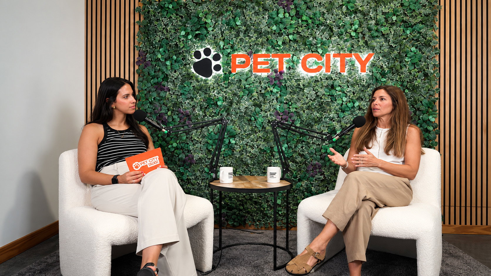 Criadora de conteúdo no sofá do estúdio com três cães pequenos