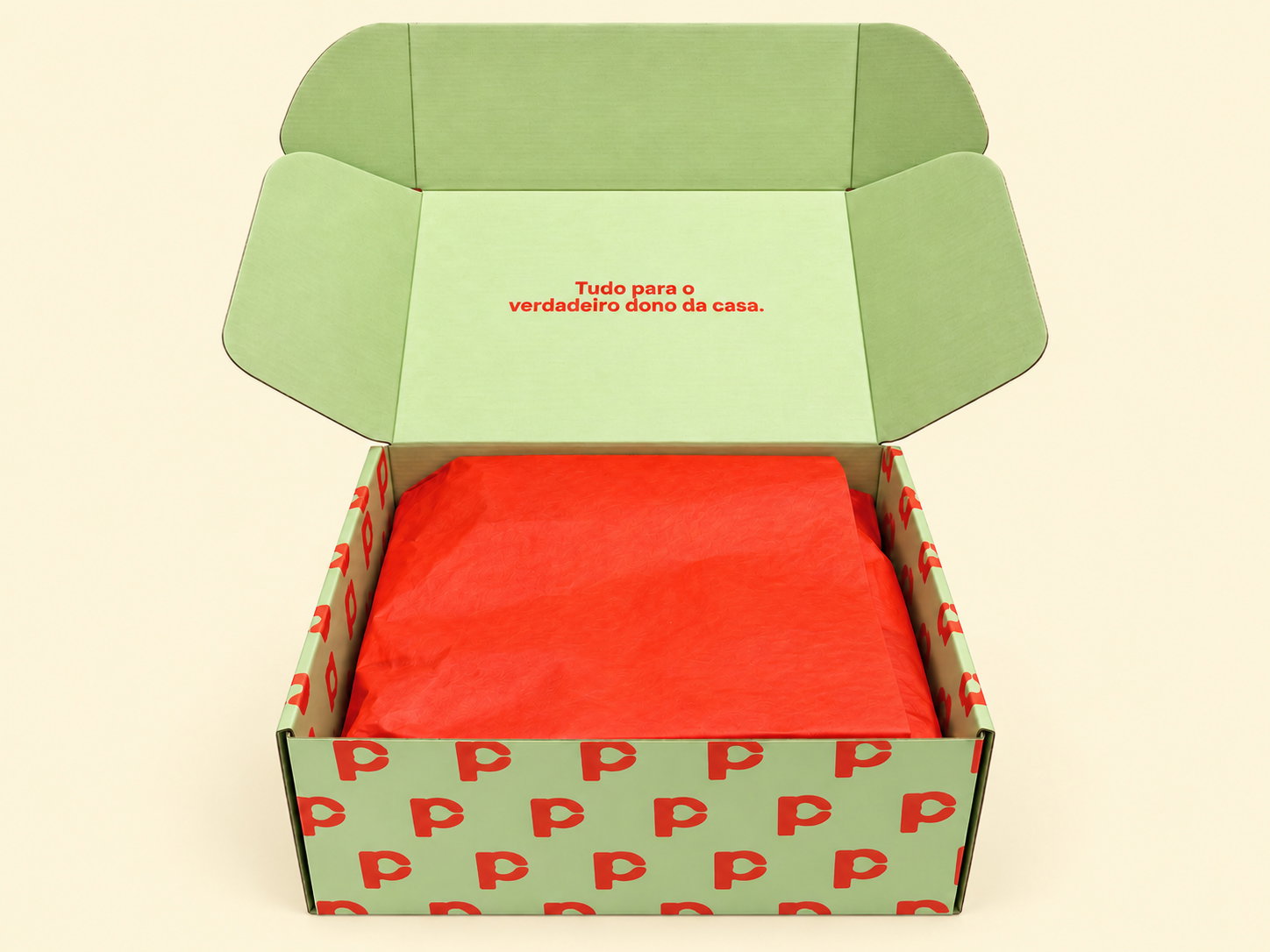 Pet City Box aberta, cheia de snacks, brinquedos e ração para cães e gatos