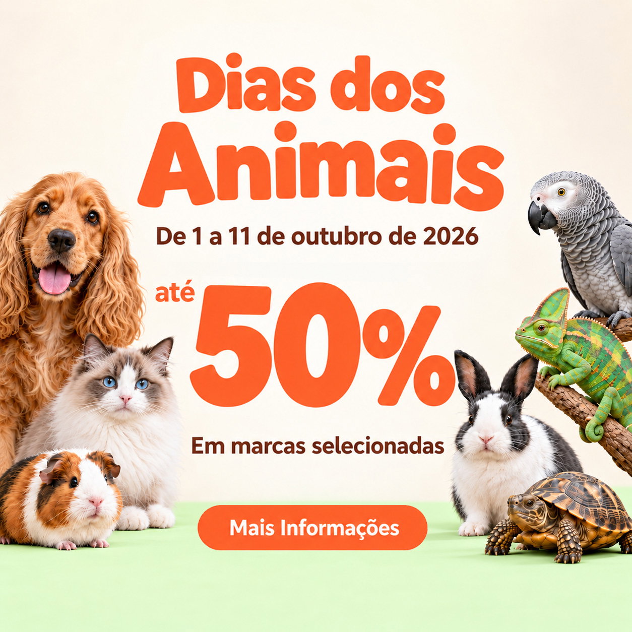 Gato a saltar para apanhar um brinquedo de penas