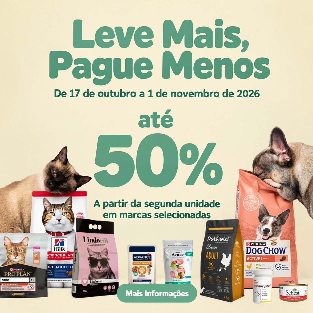 Beagle feliz ao lado de uma taça de ração
