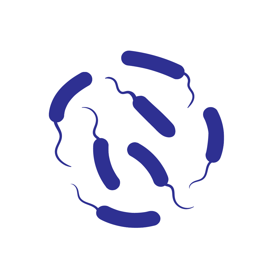 illustration of bdello bacteria swimming