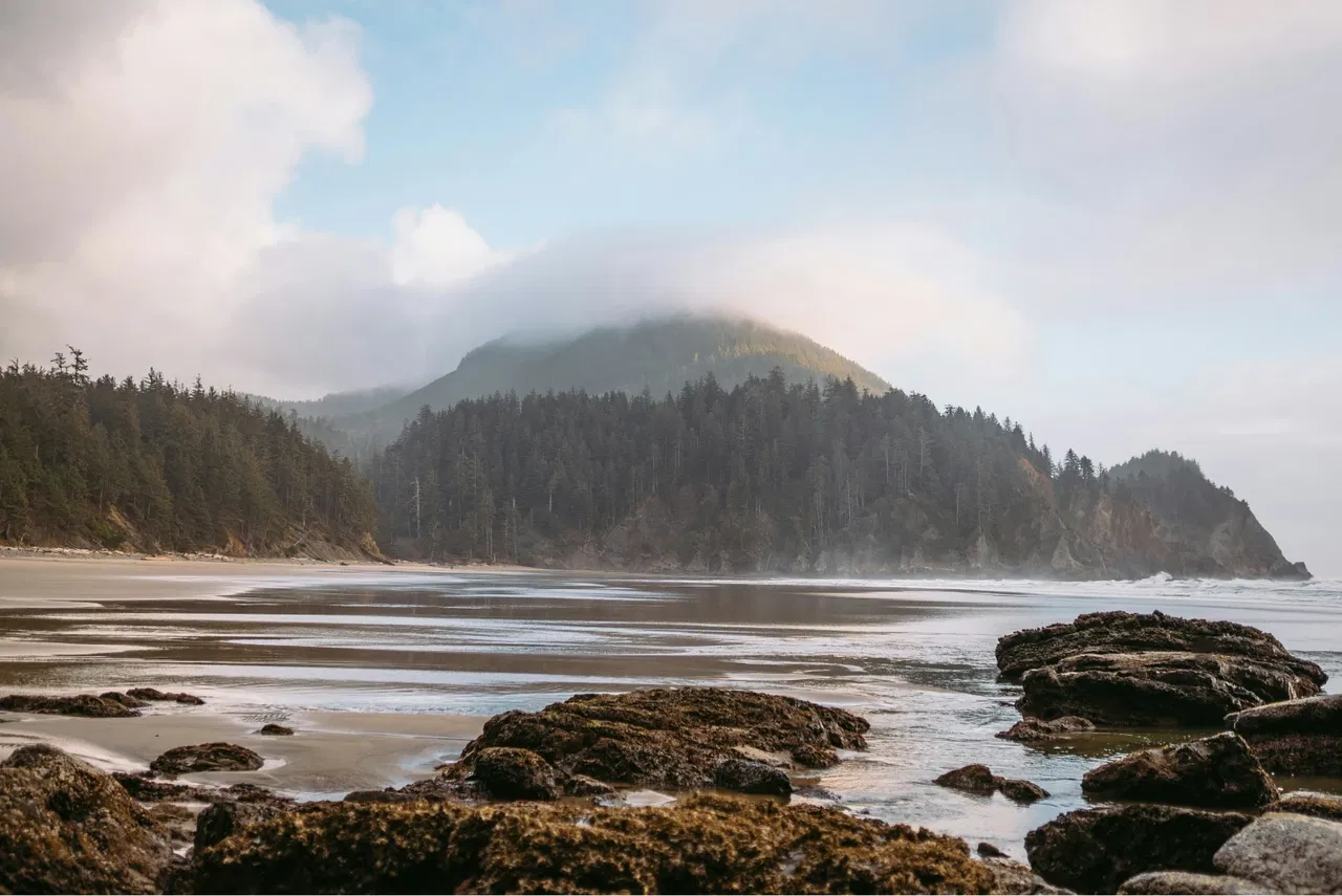 Rocky shoreline with forested cliffs and a fog-covered hill in the background under a blue sky.