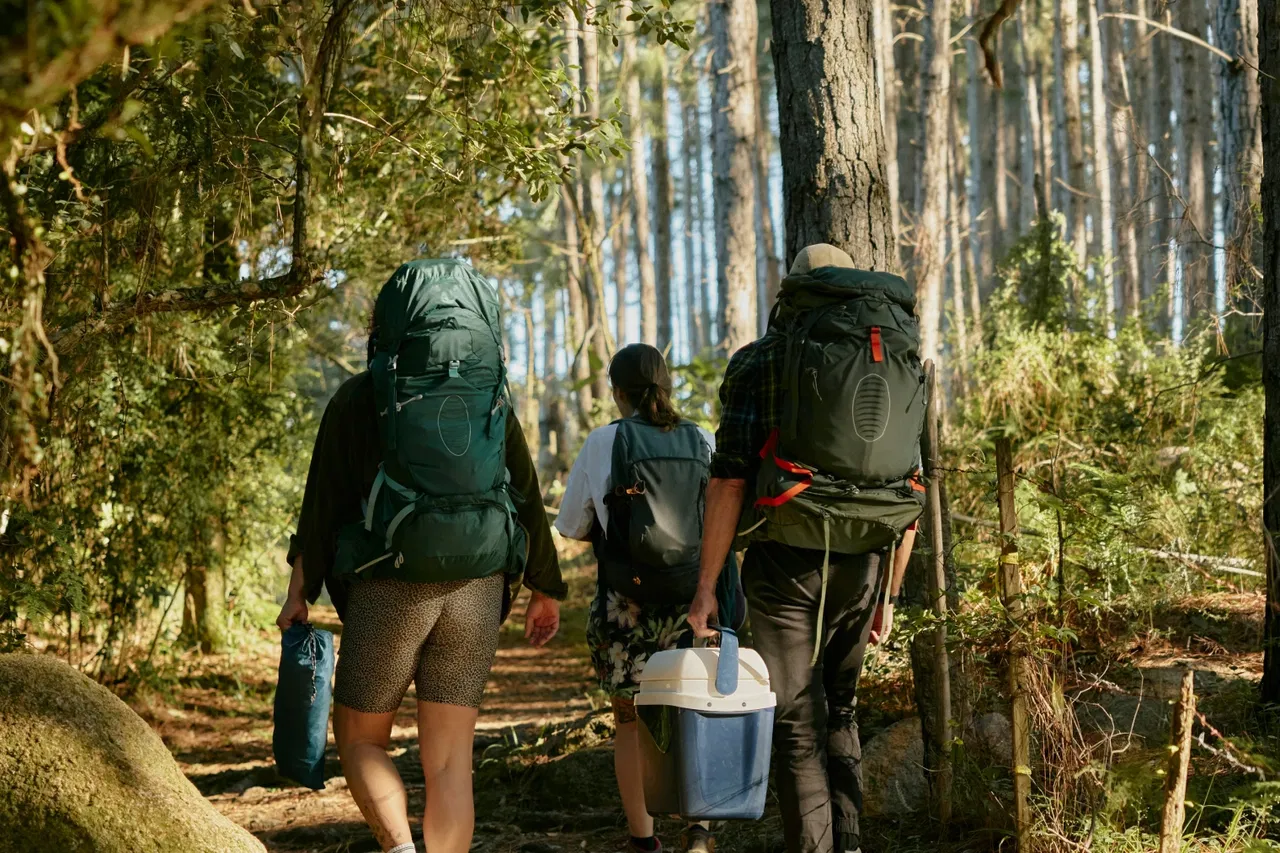 Three people hiking in a forest with backpacks and a cooler box.