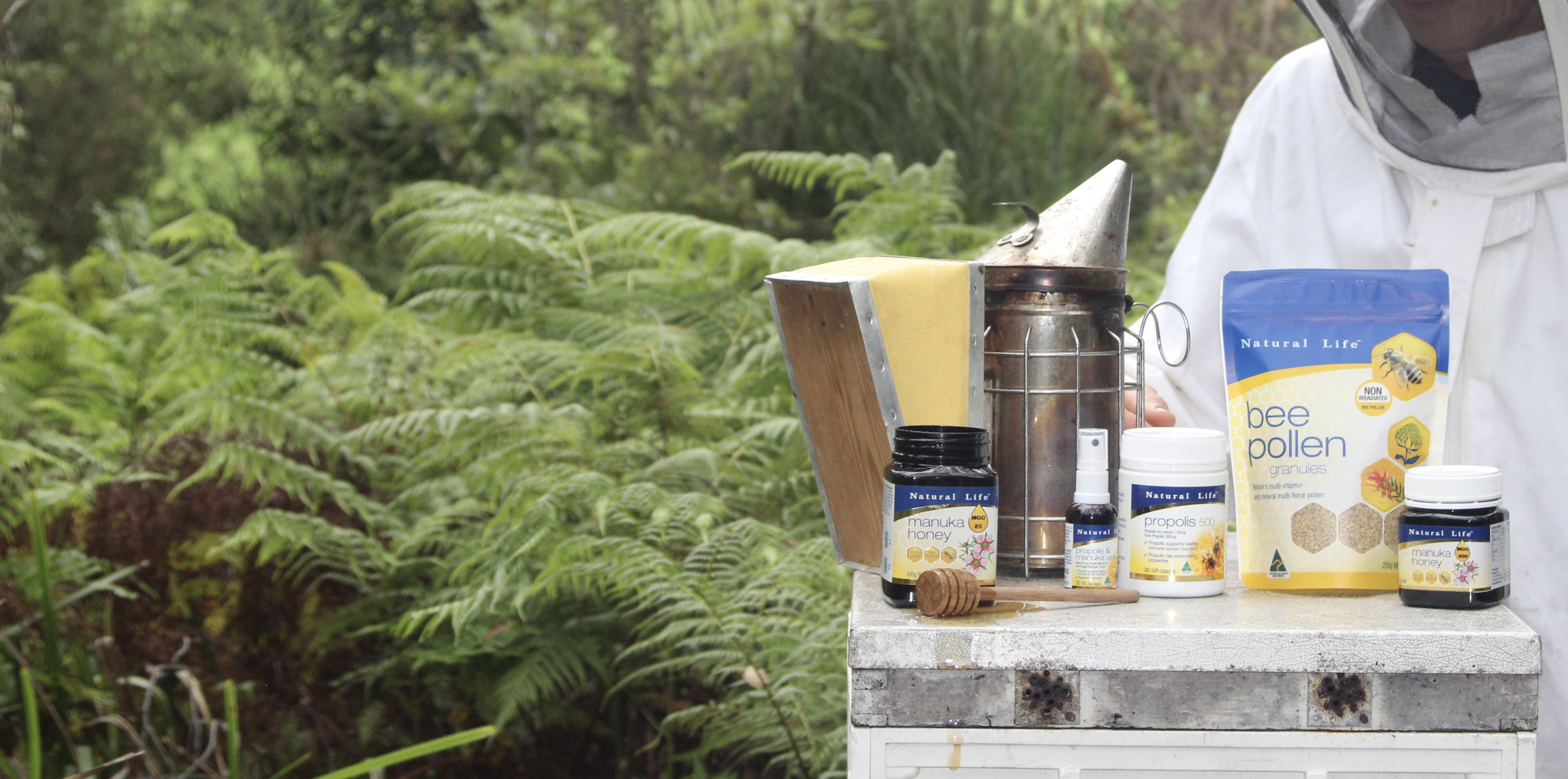 Beekeeper beside a hive with Natural Life Manuka honey, propolis, bee pollen and smoker in front of Australian ferns