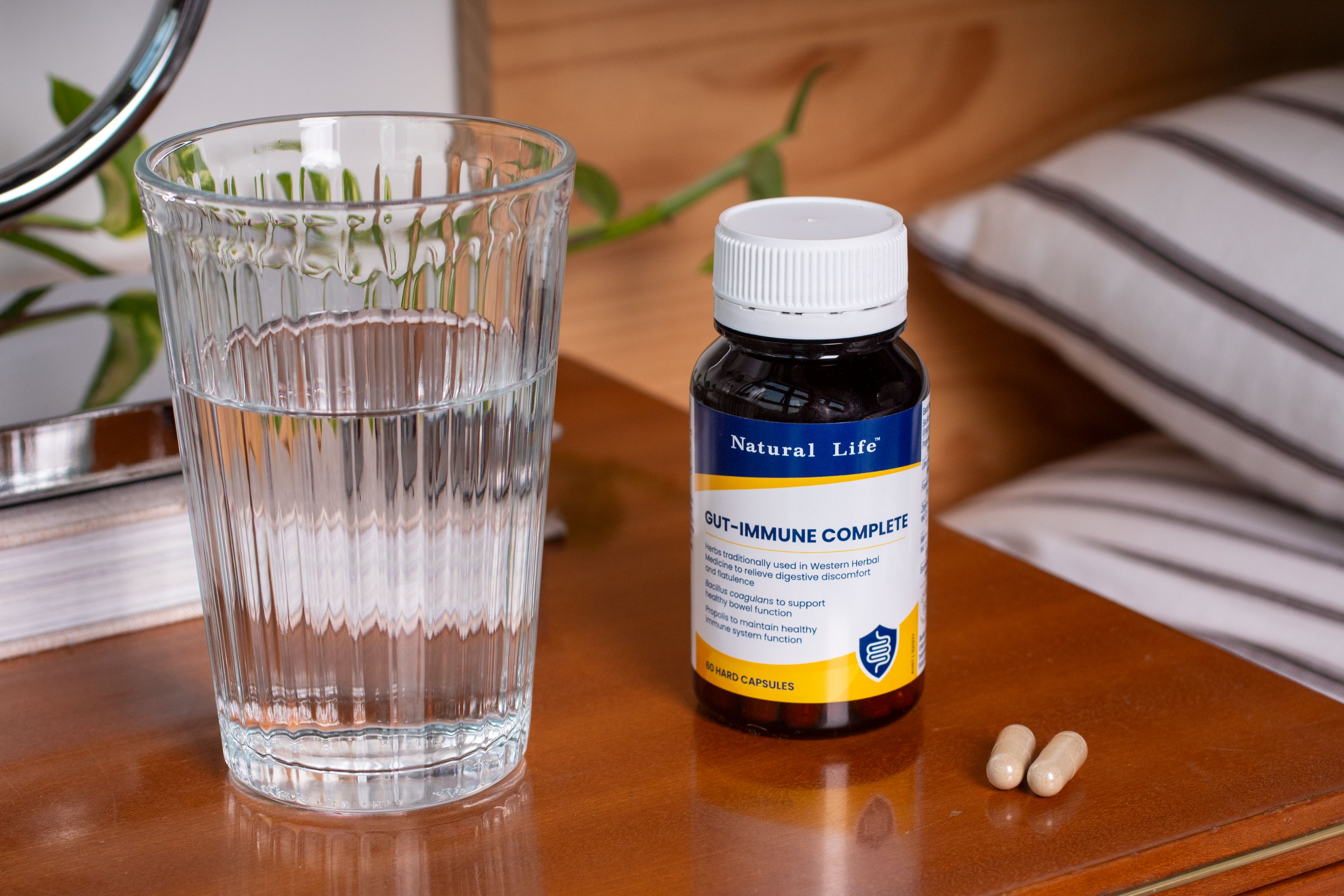 Gut-Immune Complete lifestyle