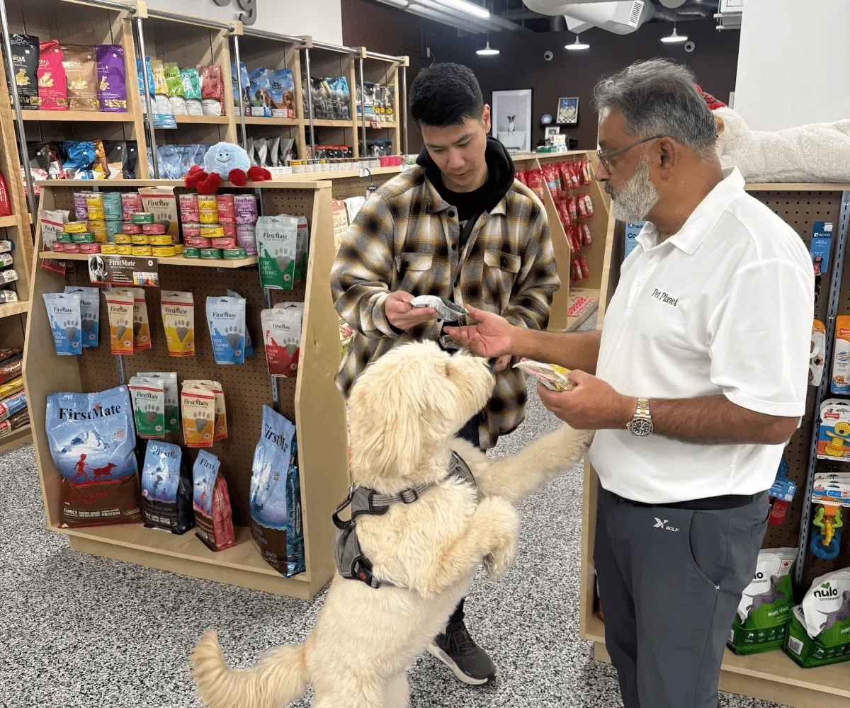A fluffy golden dog eagerly jumps up on its hind legs toward a treat being offered by Salman, Pet Planet Toronto's owner, in a white polo shirt. A young male customer looks on as shelves of FirstMate pet food line the store behind them.