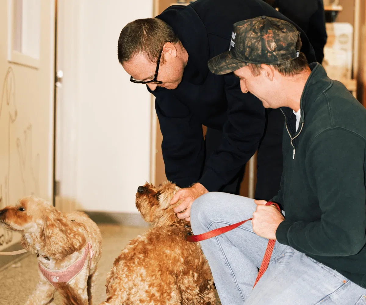 Two men petting and smiling at two curly-haired dogs inside a room