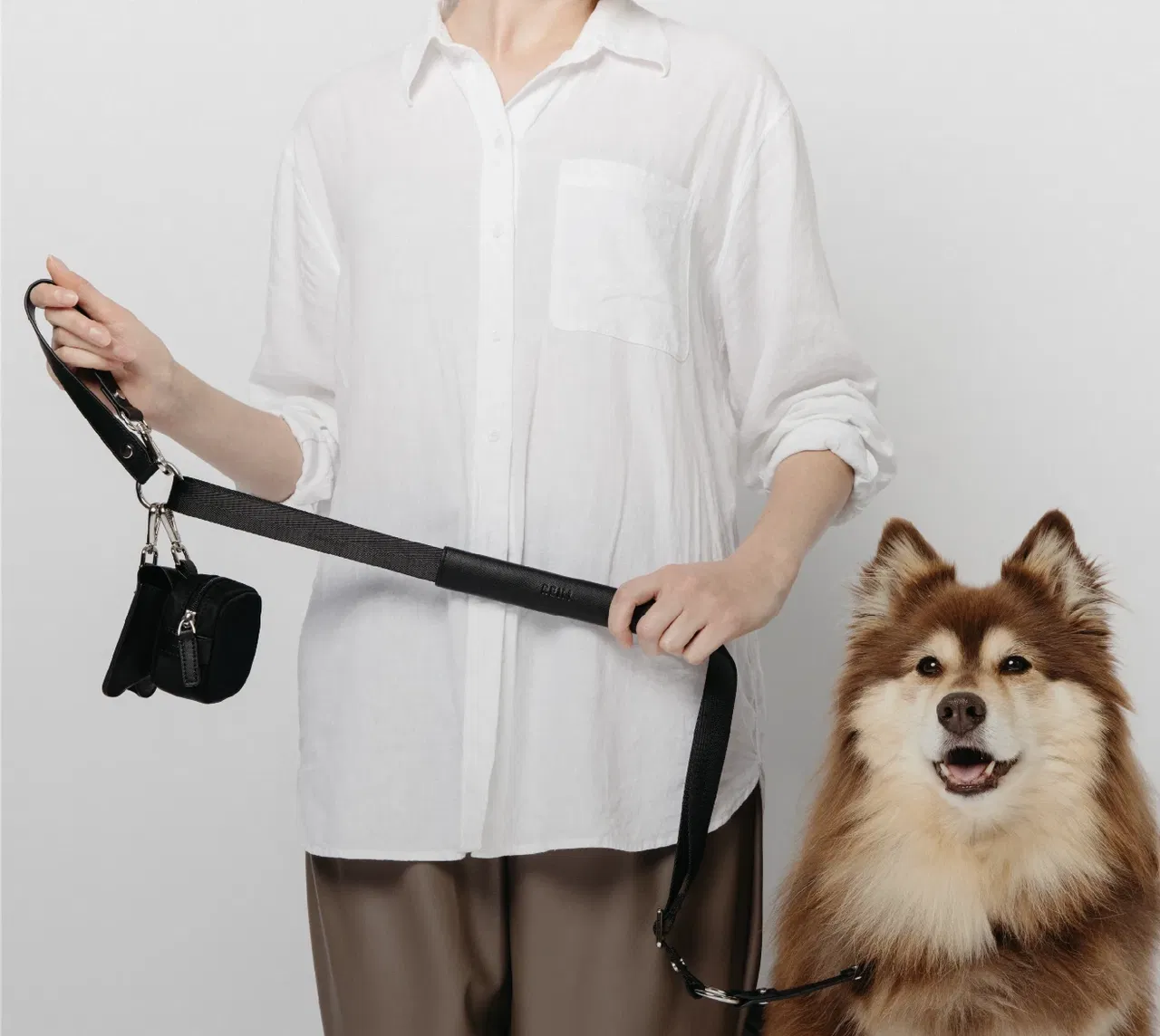 Person in white shirt holding black dog leash attached to a happy brown fluffy dog