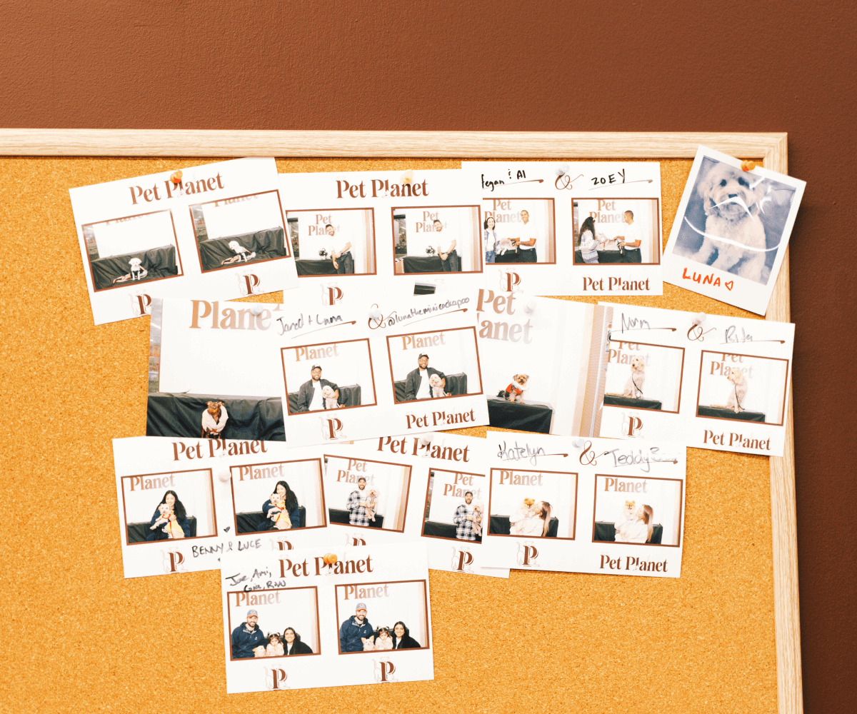 A cork board covered in Pet Planet photo booth strips and polaroids of customers with their pets, with handwritten names like Luna, Benny & Luce, and Katelyn & Teddy.