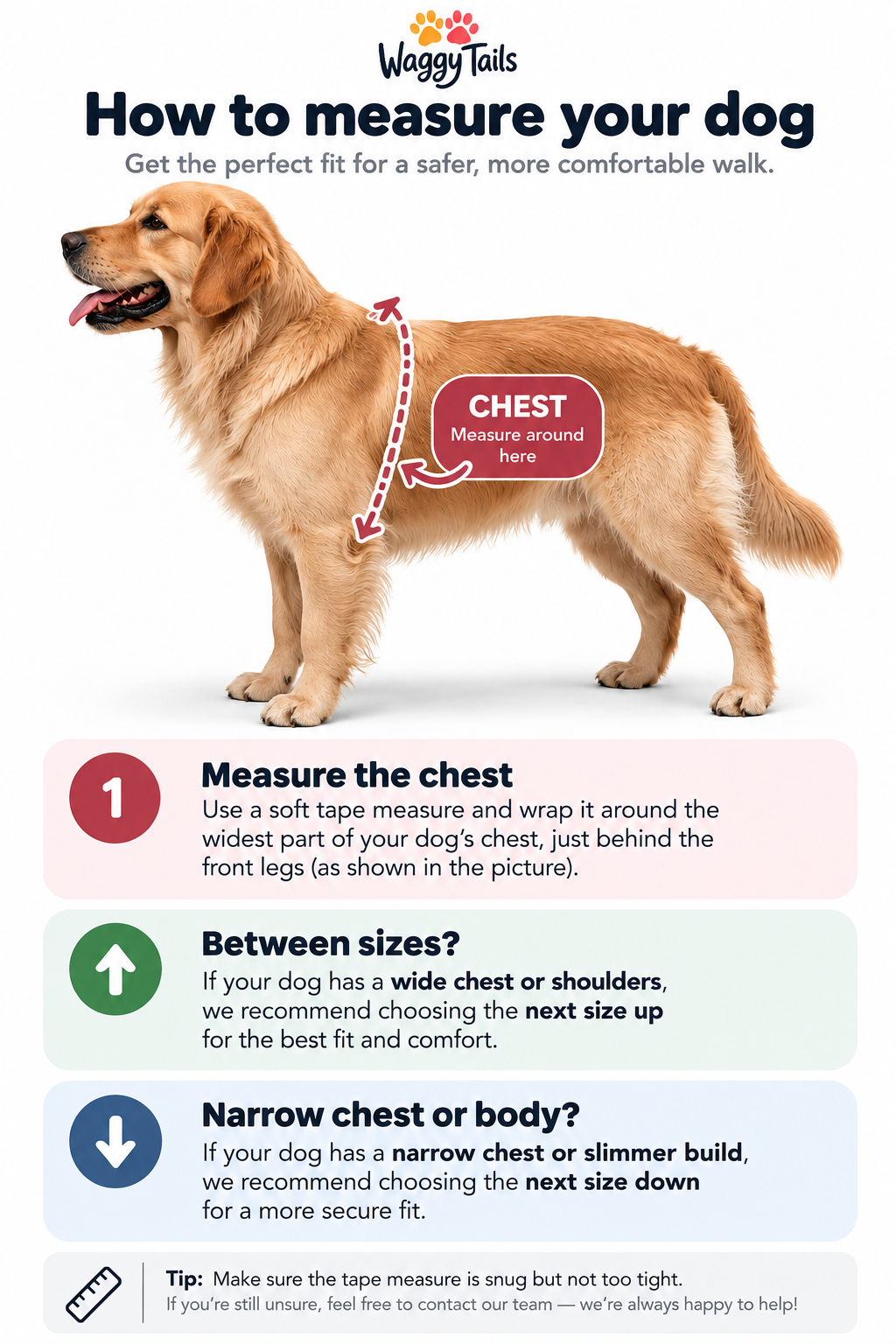 Waggy Tails measuring guide: a golden retriever with the chest measurement marked just behind the front legs, alongside advice to size up for a wide chest and down for a slimmer build