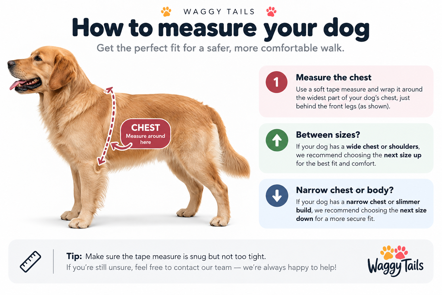 Waggy Tails measuring guide: a golden retriever with the chest measurement marked just behind the front legs, with advice to size up for a wide chest and down for a slimmer build