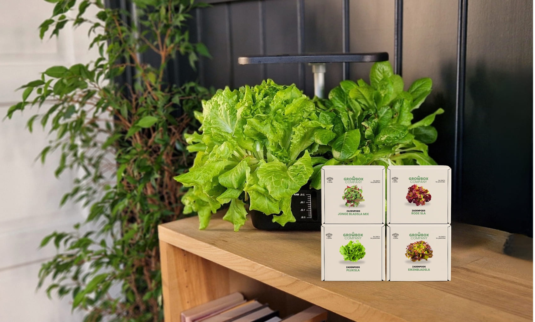 Verse zaailingen groeien in de pods van de Growbox