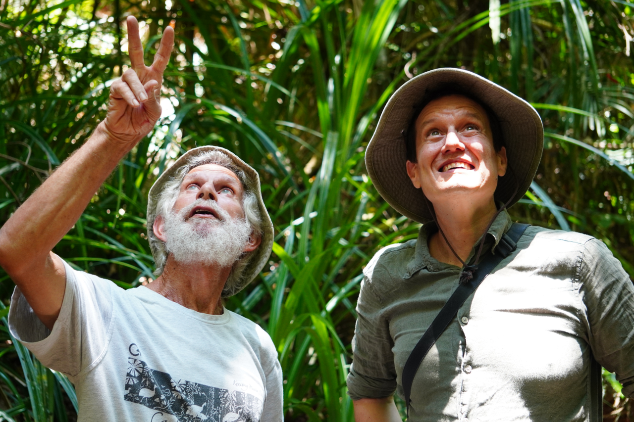 Djarawong rainforest map