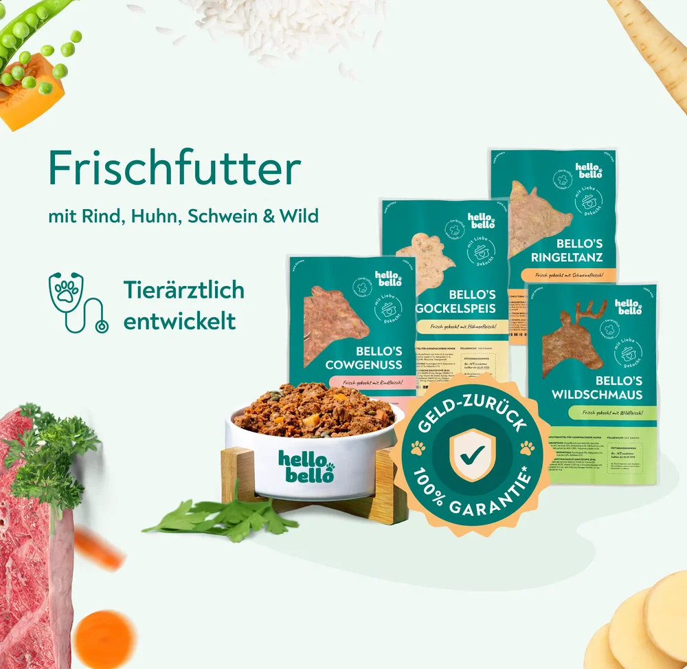 HelloBello Frischfutter mit Rind, Huhn, Schwein und Wild – tierärztlich entwickelt
