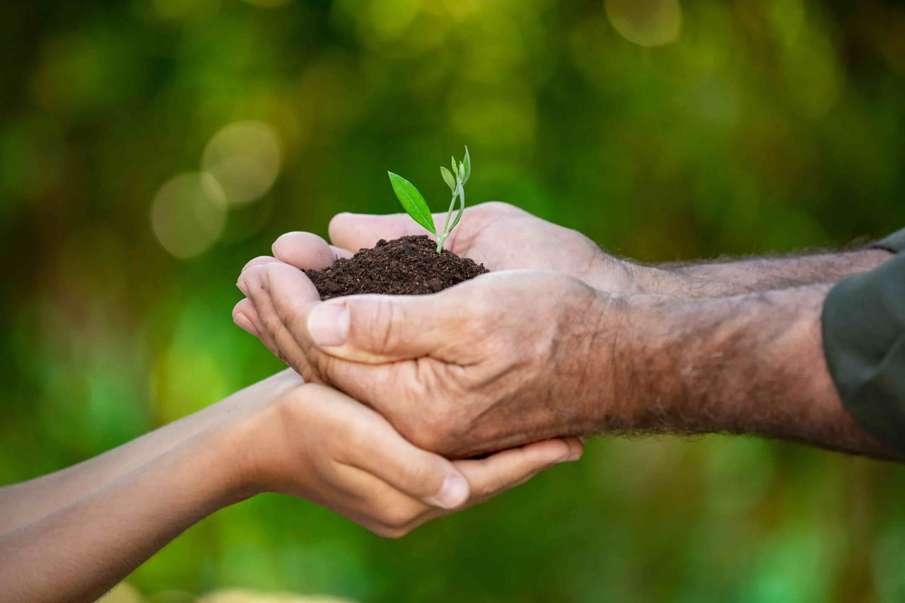 footer_sustainable