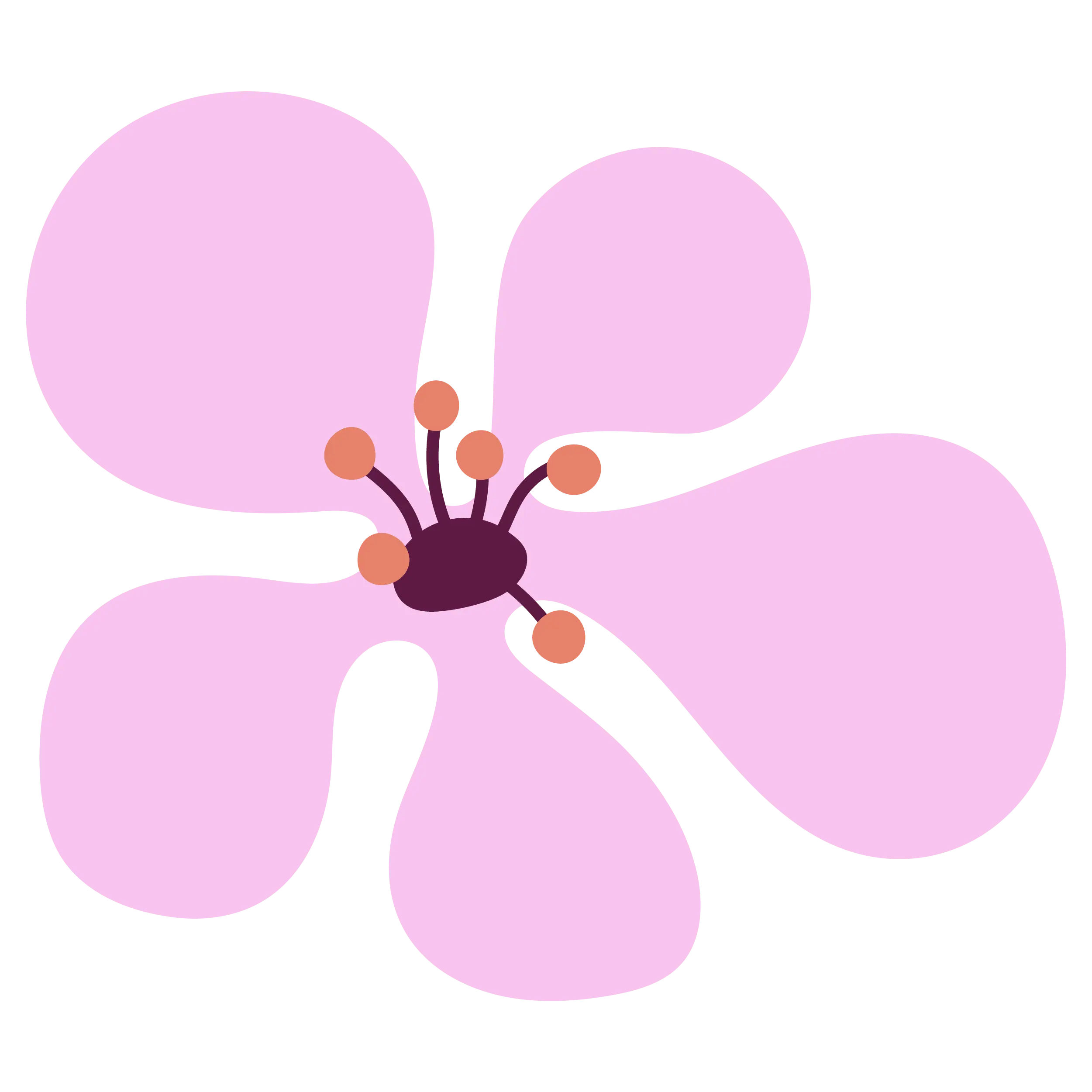 Illustration of a manuka flower with big pink petals and a purple center, representing a floral design.