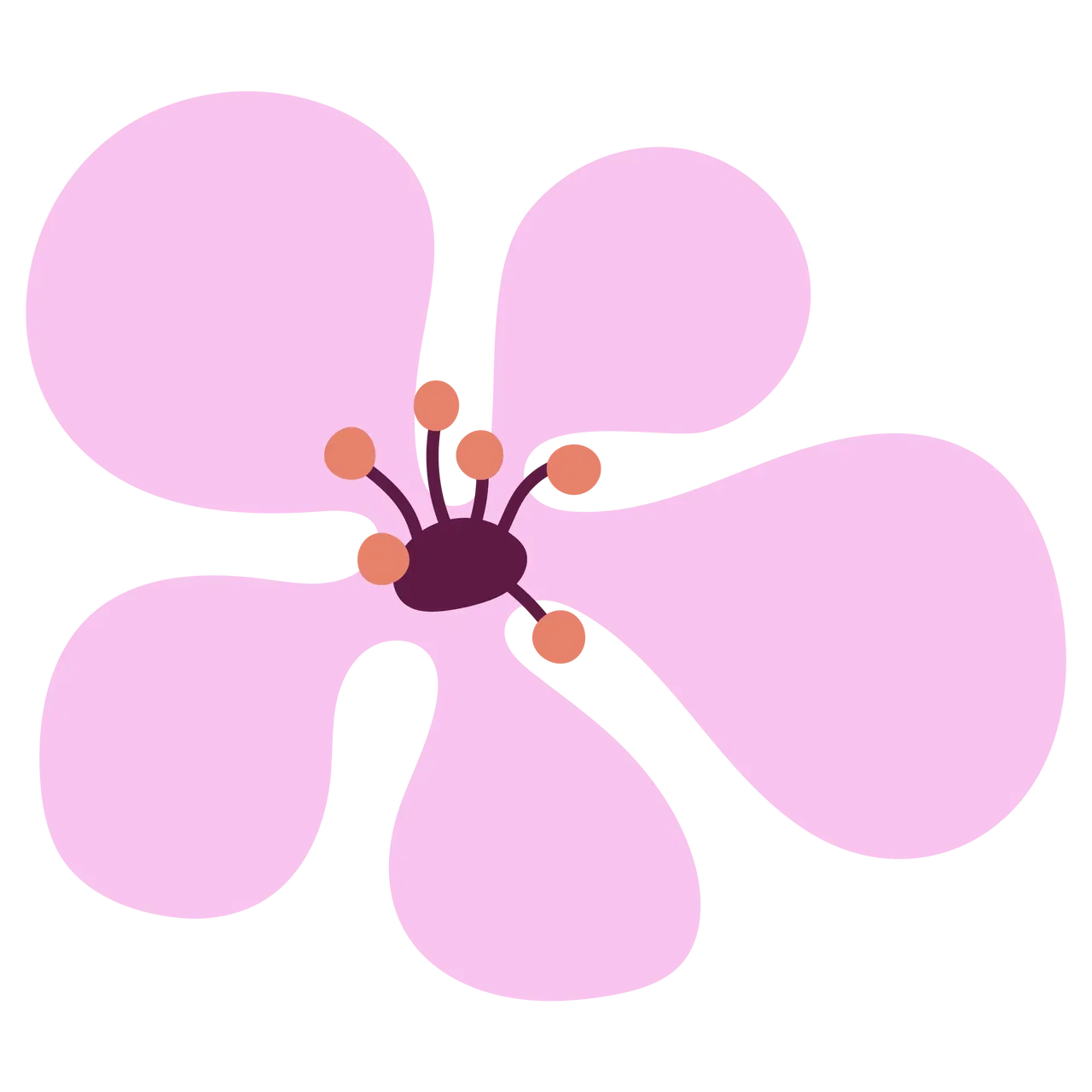 Illustration of a manuka flower with big pink petals and a purple center, representing a floral design.