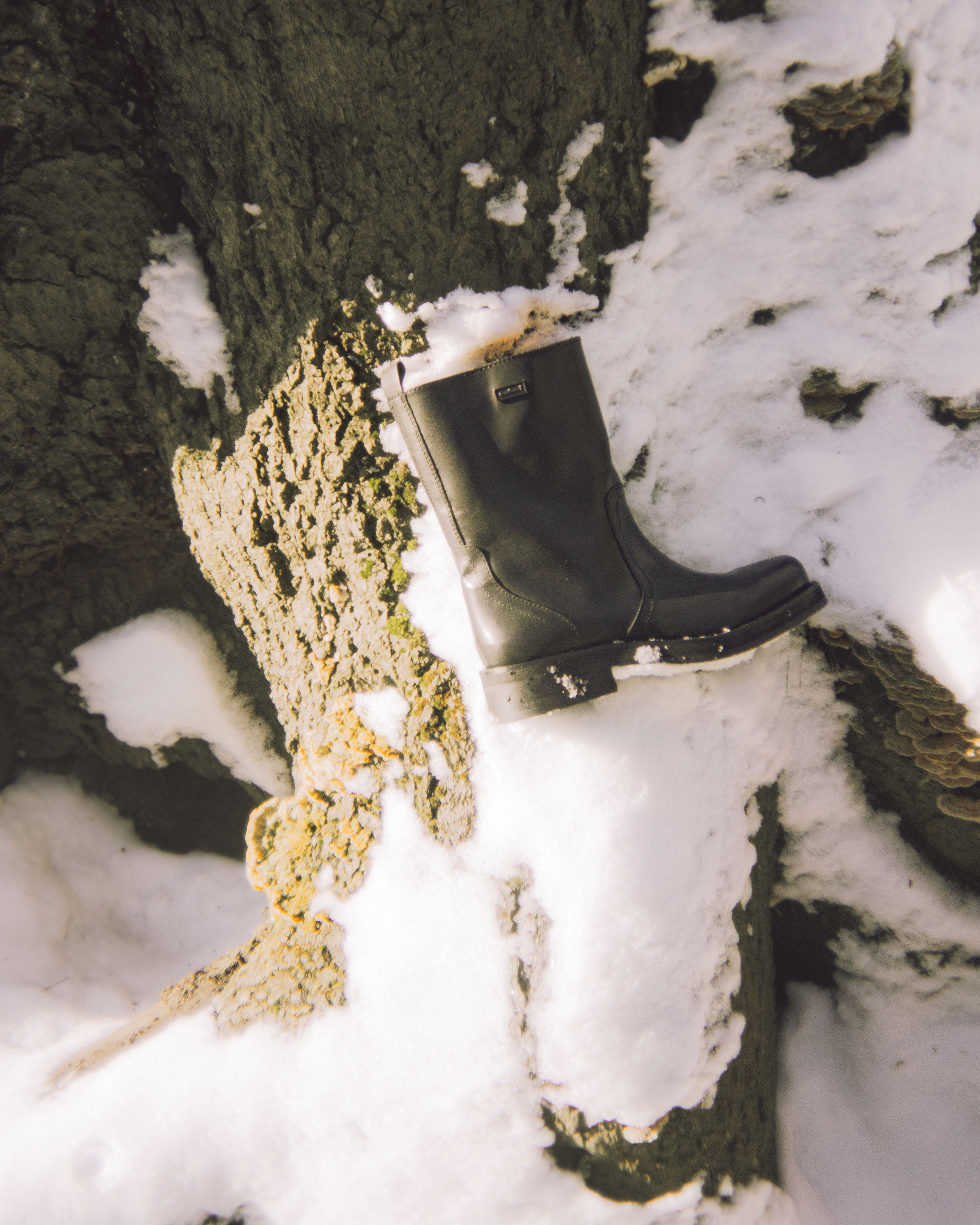 A black leather boot resting on a snow-covered tree trunk