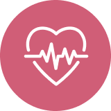 Corazón huesos cerebro