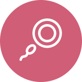 Fertilidad