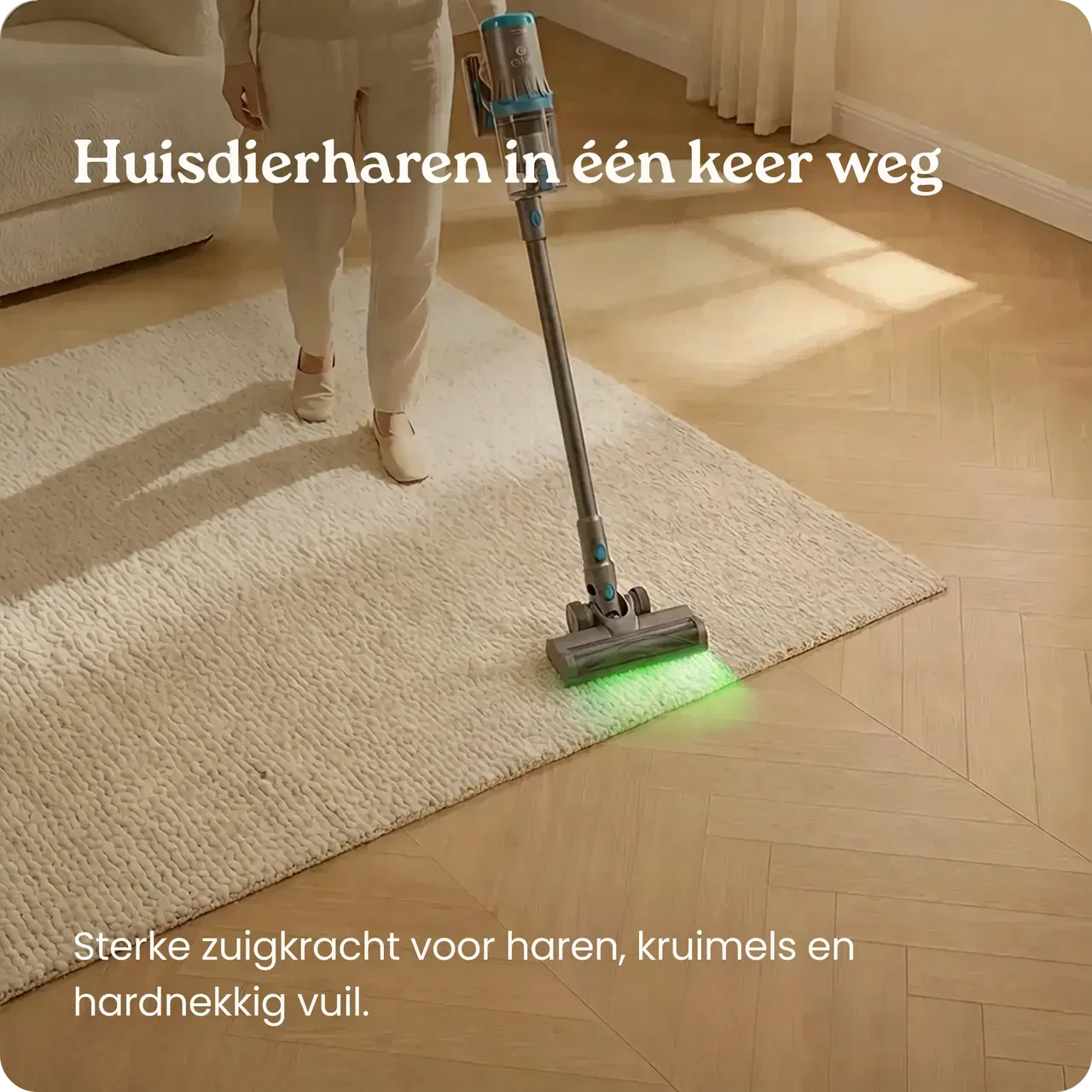 clean wise rita flex tegen huisdierharen op tapijt