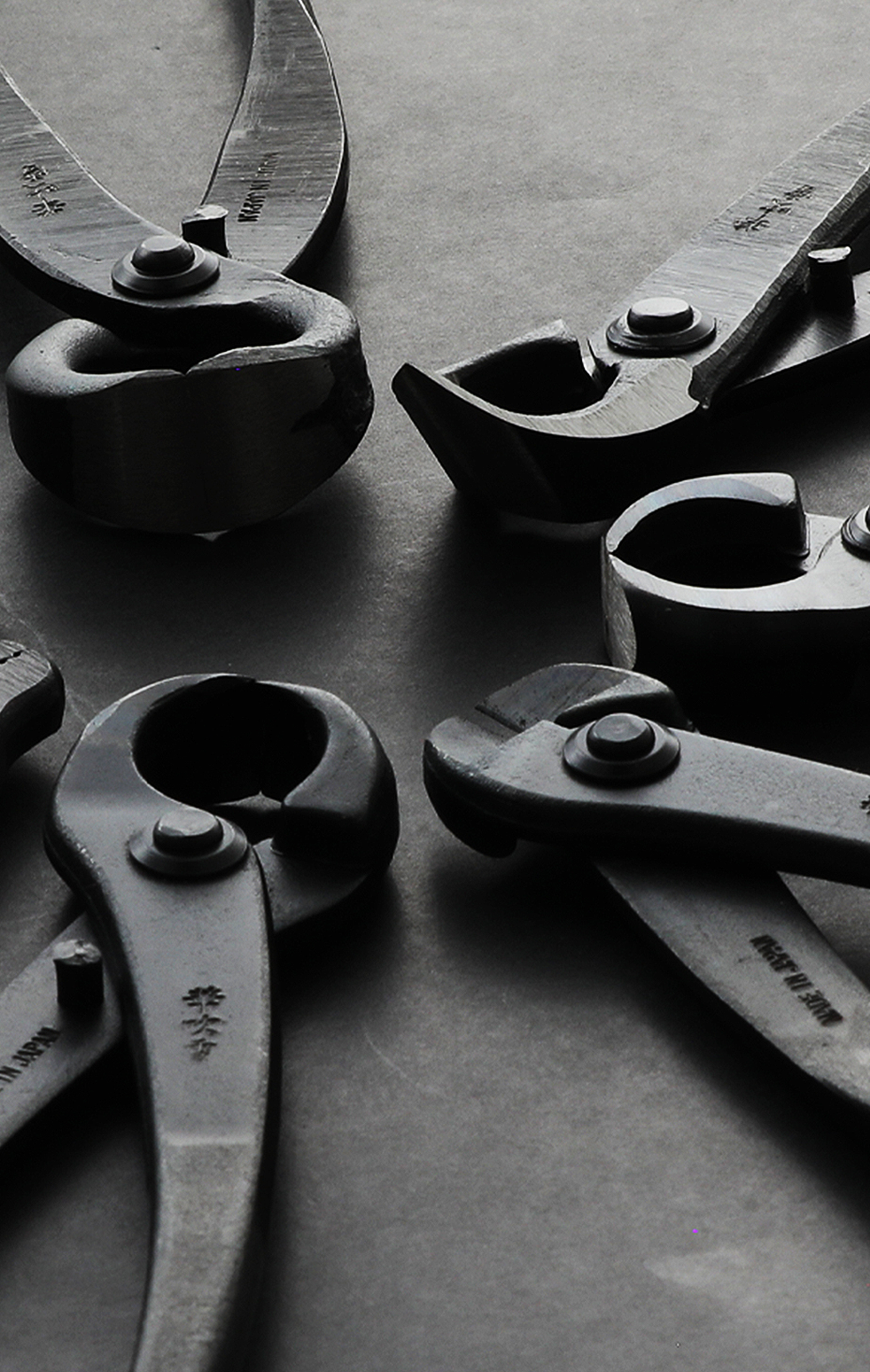 img-quiz-cutters