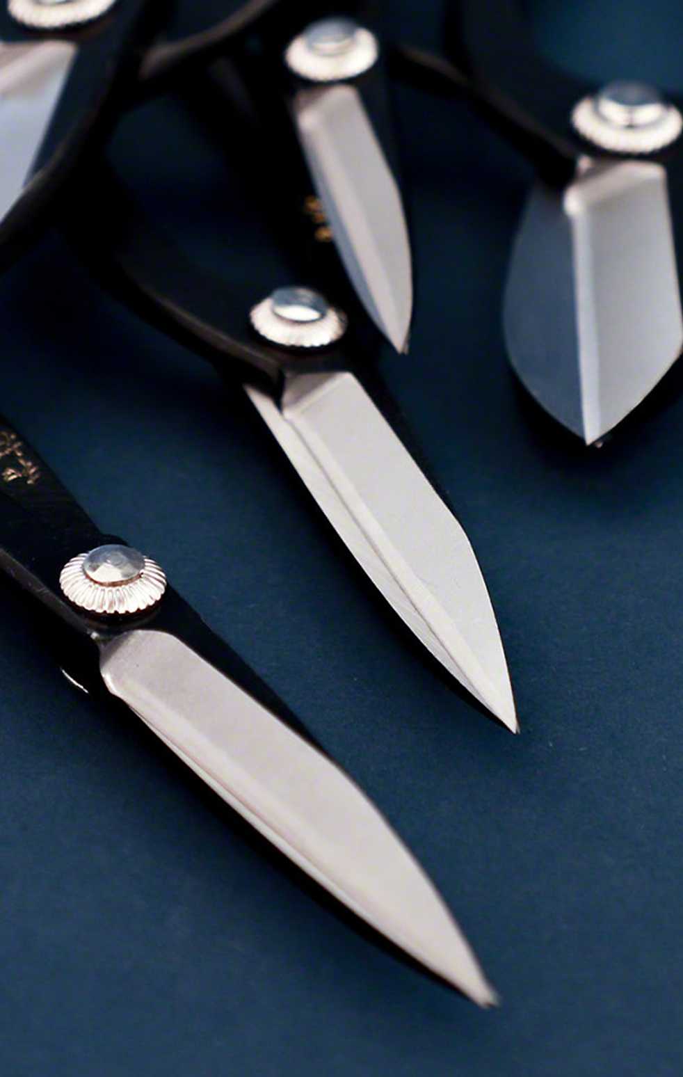 img-quiz-scissors