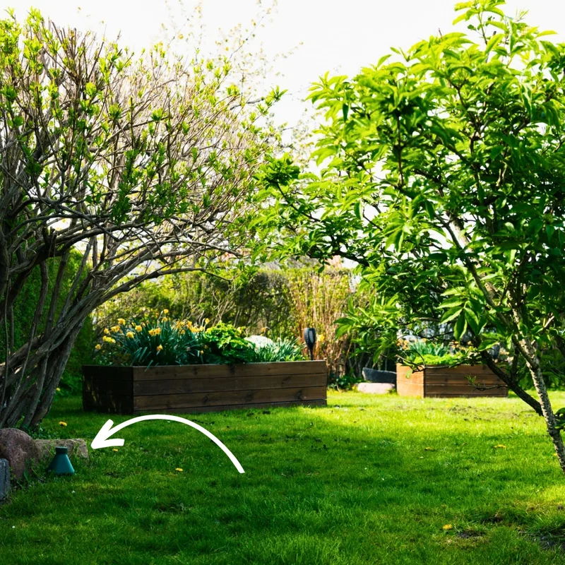 Piège discret dans le jardin