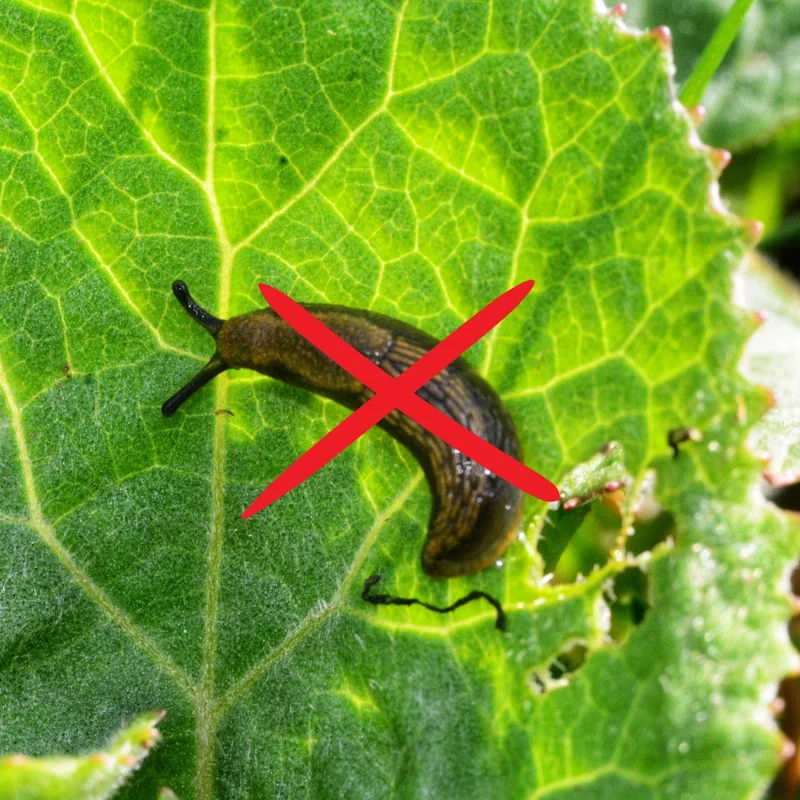 Protège votre jardin