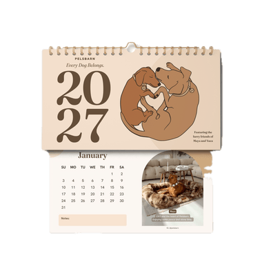Pelsbarn 2027 wall calendar with illustrated dogs and a January page