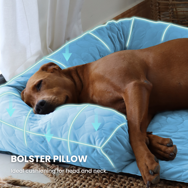 Revolutionary Cooling Mat for Dogs Vet & AwardWinning(01)