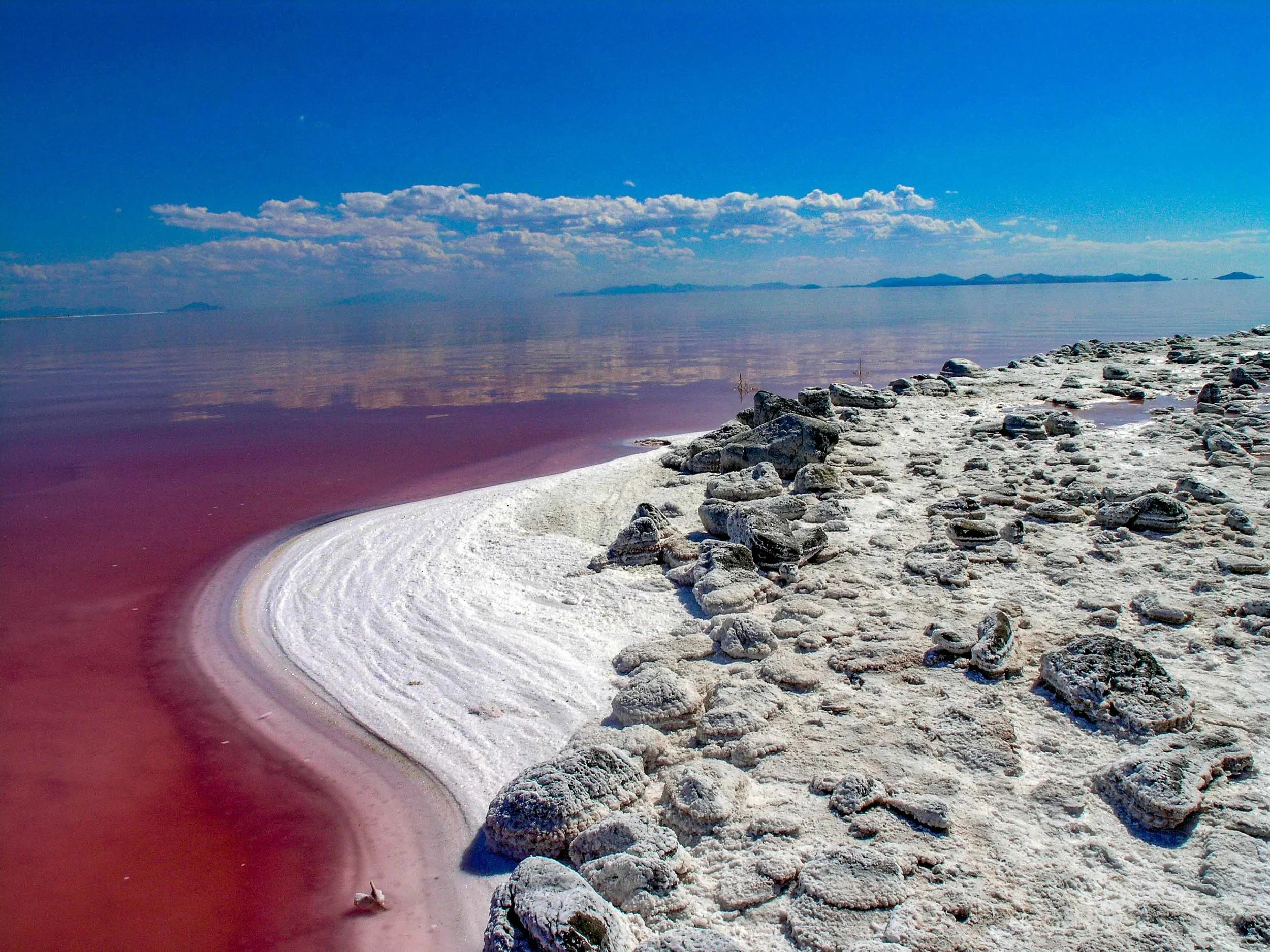 Pink water meeting a white salt shoreline on an inland sea under a blue sky