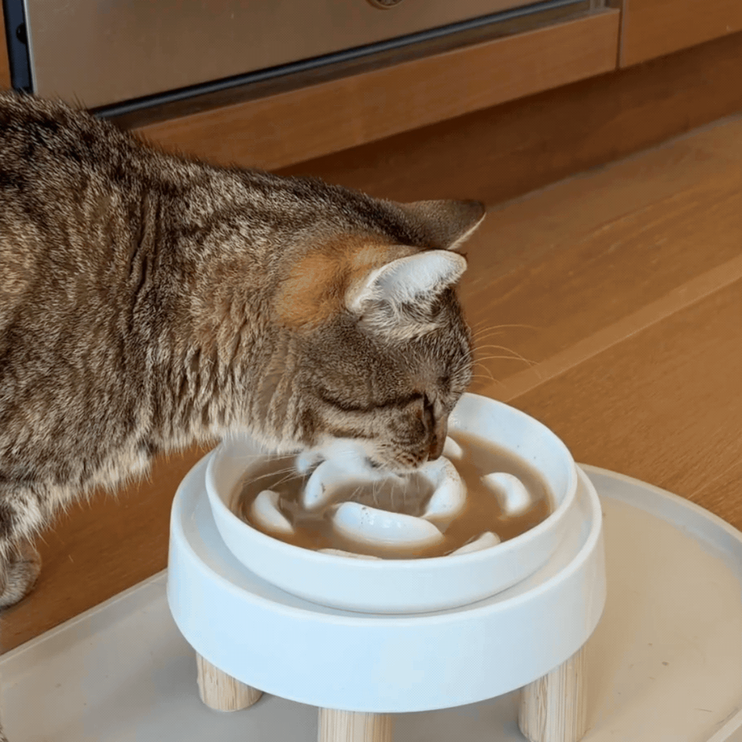 A cat happily lapping up a whipped wildwhip lickable treat
