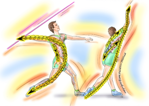 Illustration der Franklin Methode: Speerwerfer mit eingezeichneten Bewegungs- und Faszienlinien als mentale Bilder