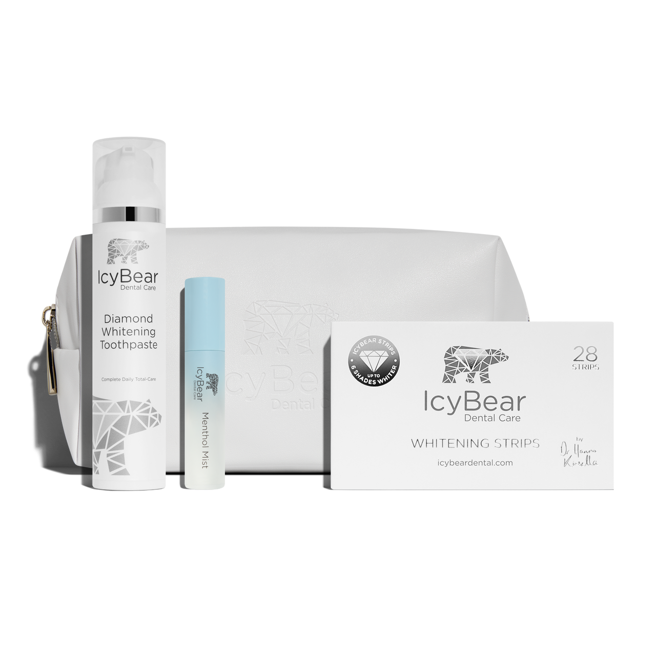 travel kit – Icy Bear Dental