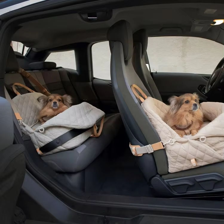 Pink Porter carrier buckled onto a car back seat with a small dog inside