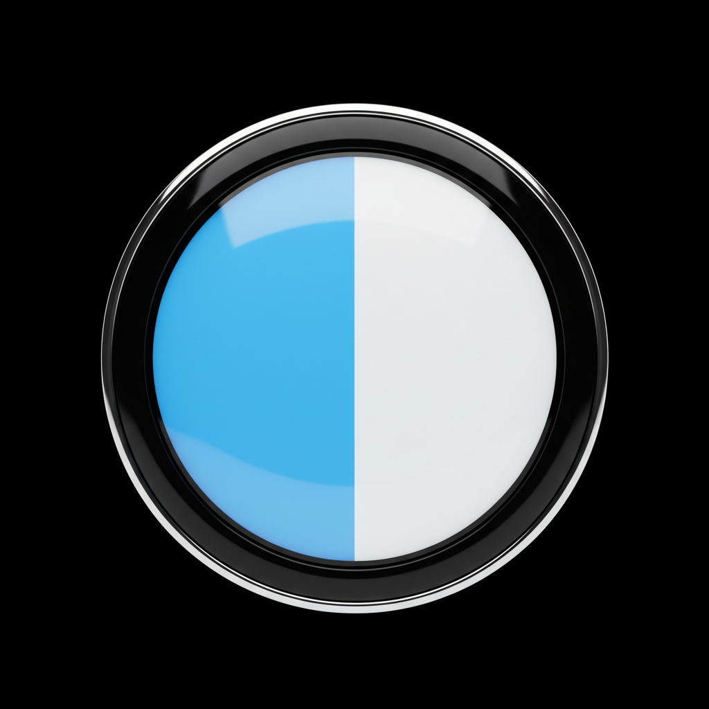 Split sky blue and white roundel with a black outer ring