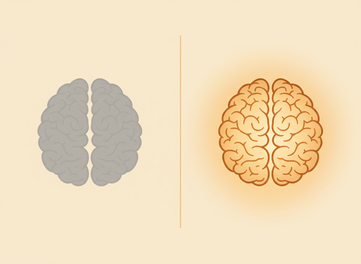 Illustration comparing a dull grey numb brain with a warmly lit balanced brain