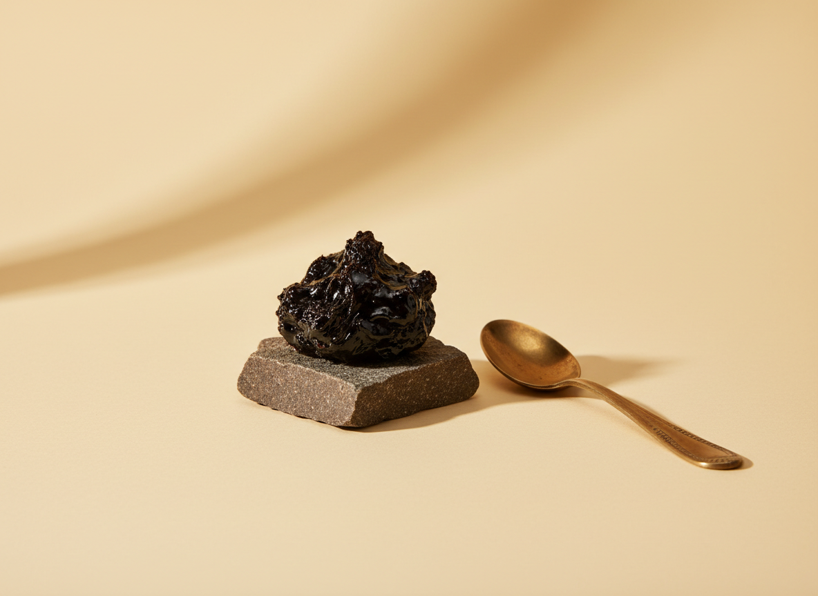 Raw Himalayan shilajit resin on dark stone